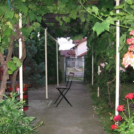 Kuca Za Odmor Jelena Apartment Кладово Екстериор снимка