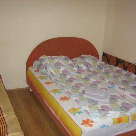 Kuca Za Odmor Jelena Apartment Кладово Екстериор снимка