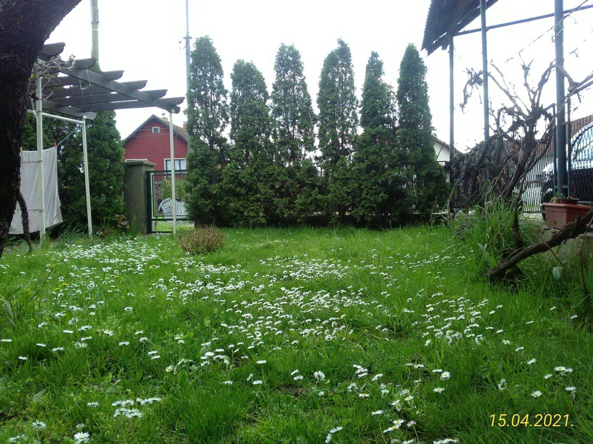 Kuca Za Odmor Jelena Apartment Кладово Екстериор снимка