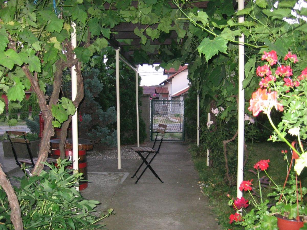 Kuca Za Odmor Jelena Apartment Кладово Екстериор снимка
