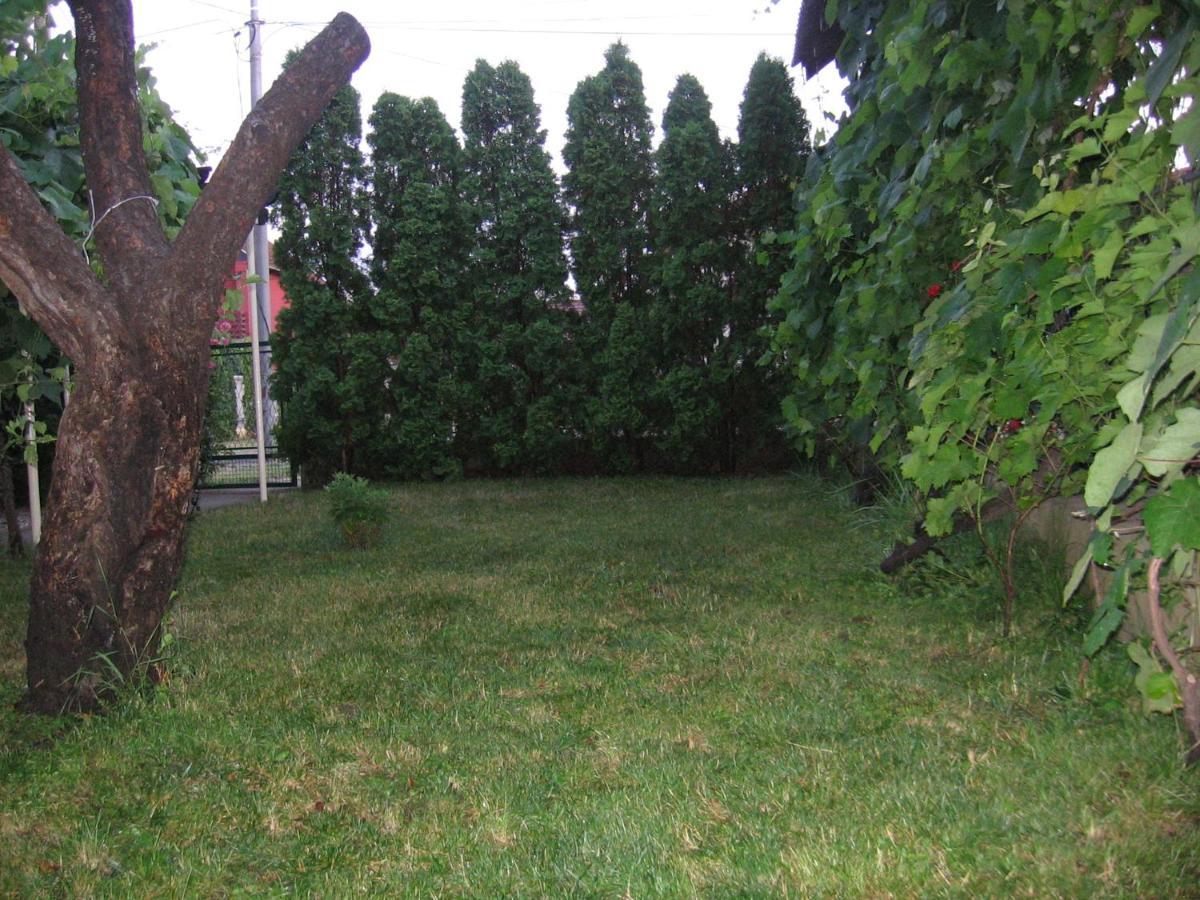 Kuca Za Odmor Jelena Apartment Кладово Екстериор снимка
