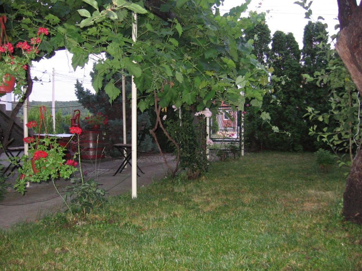 Kuca Za Odmor Jelena Apartment Кладово Екстериор снимка